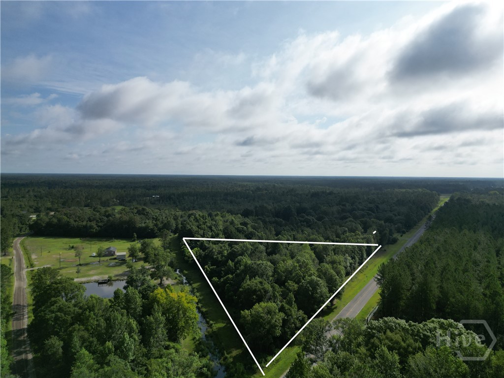 0 Hodges Road Hinesville, GA 31313 - Photo 1 of 9 Gallery Image 1