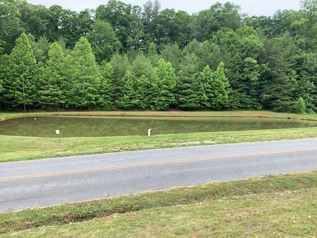 5552 Ferrum Mountain Road Callaway, VA 24067 - Photo 21 of 21 a view of a swimming pool with a yard and trees in the background