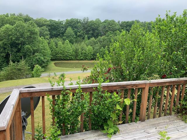 5552 Ferrum Mountain Road Callaway, VA 24067 - Photo 3 of 21 a view of a balcony with outdoor space