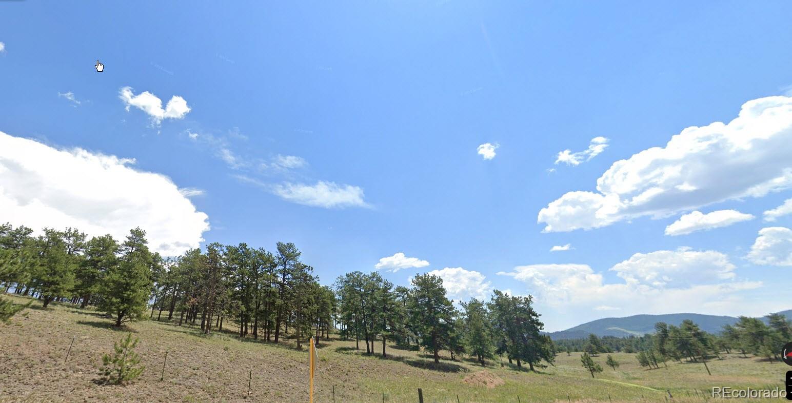 102 Co Guffey, CO 80820 - Photo 9 of 12 a view of a big yard with lots of tress in it