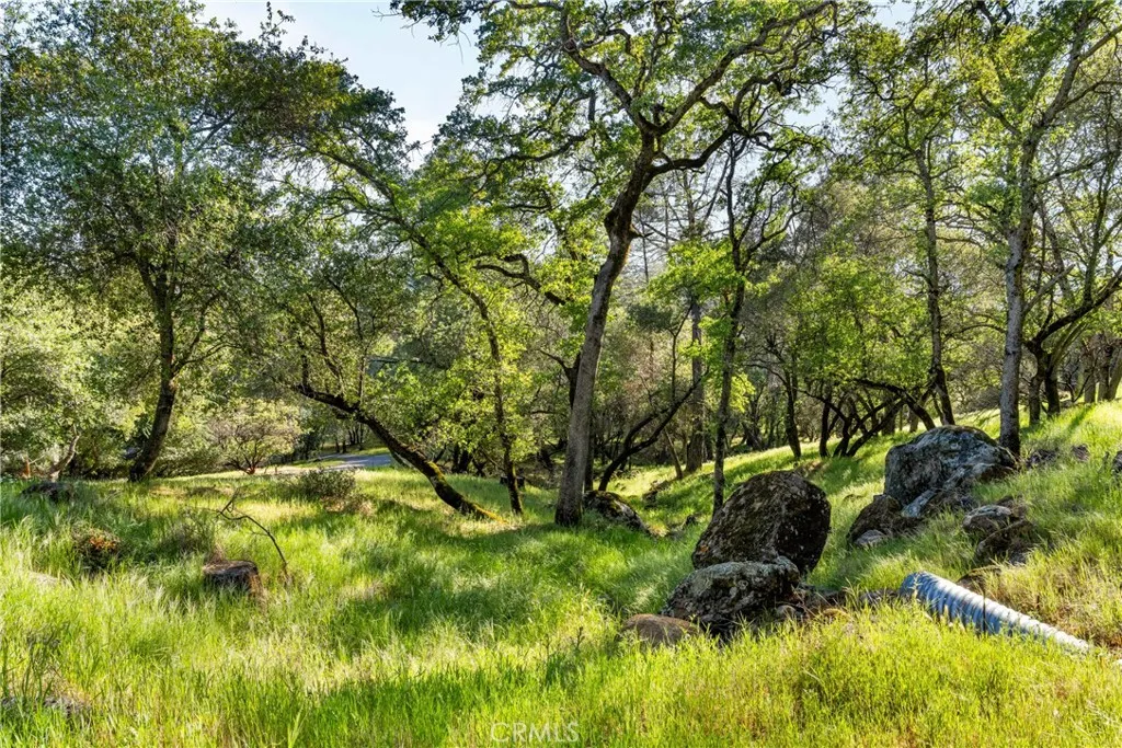 0 Iron Mine Road Auburn, CA 95602 - Photo 17 of 31