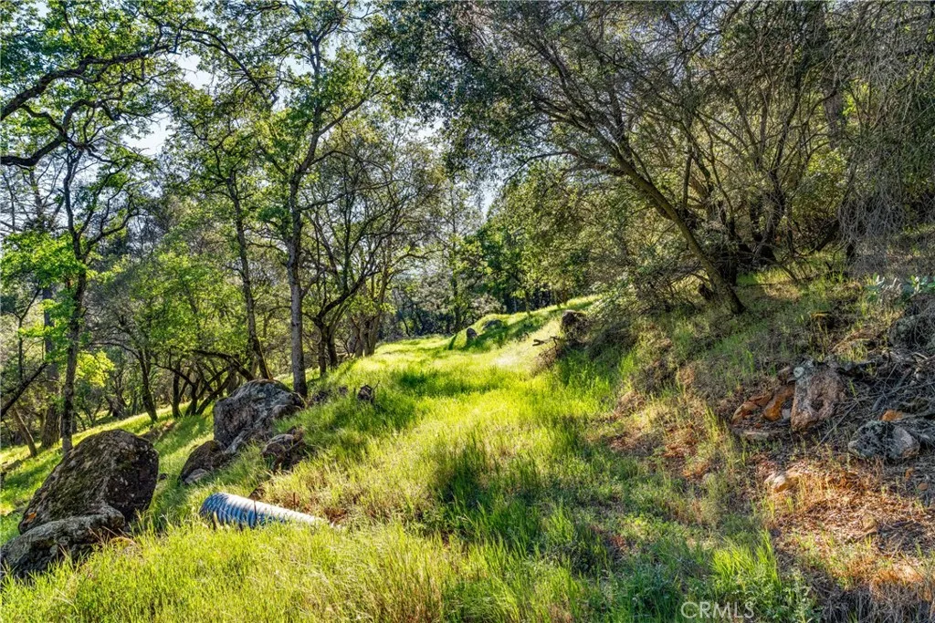 0 Iron Mine Road Auburn, CA 95602 - Photo 18 of 31