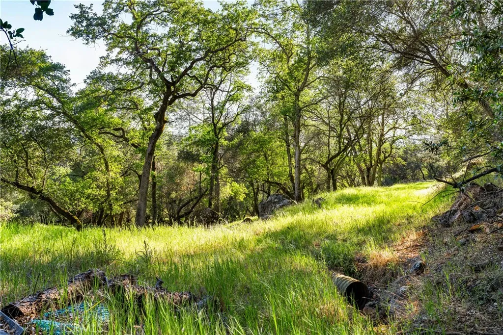0 Iron Mine Road Auburn, CA 95602 - Photo 20 of 31