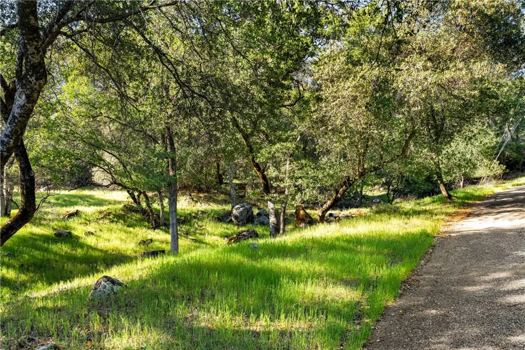 0 Iron Mine Road Auburn, CA 95602 - Photo 2 of 31
