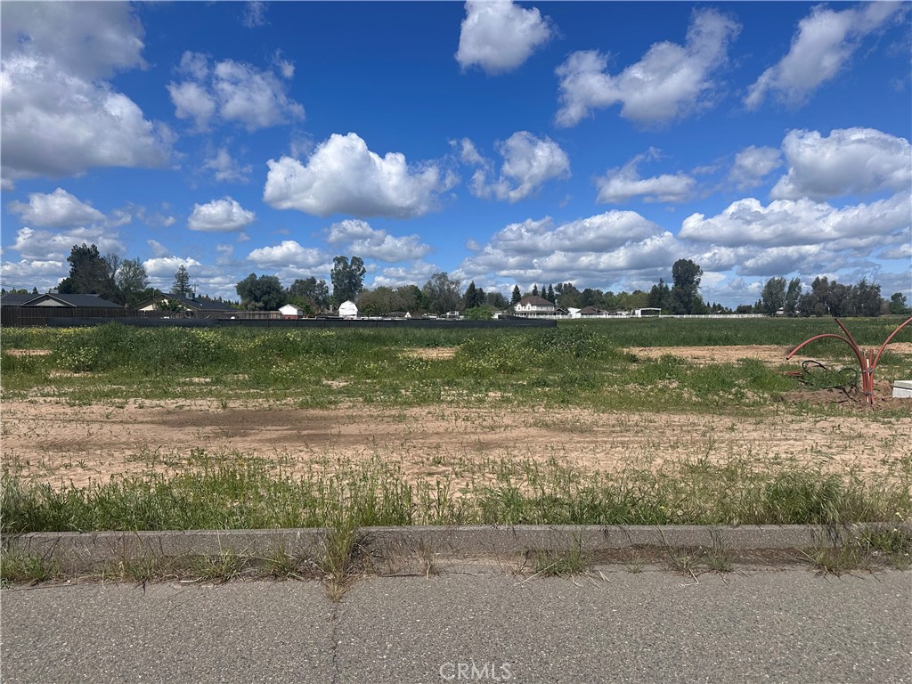 0 White Crane Road Atwater, CA 95301 - Photo 3 of 6 a view of a lake with a big yard