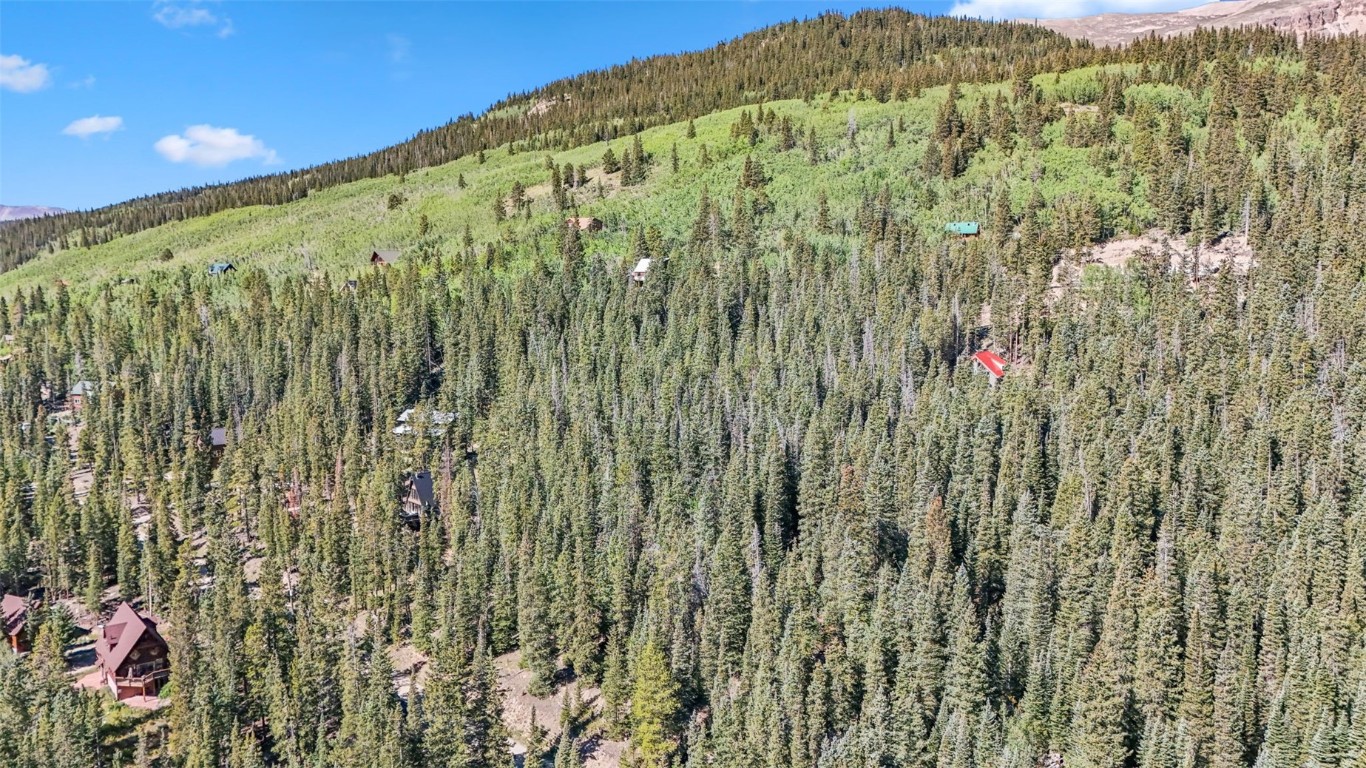 289 Ridge Road Alma, CO 80420 - Photo 6 of 25 Gallery Image 6