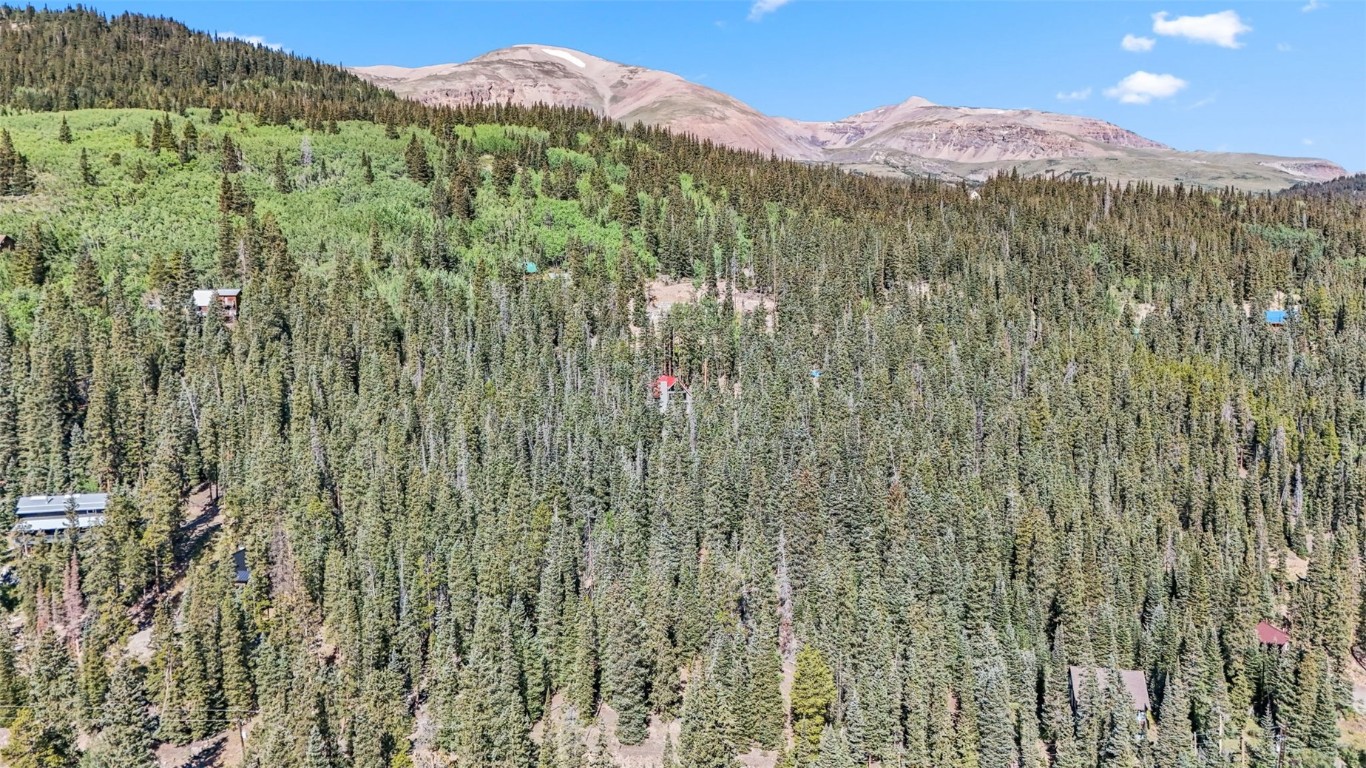 289 Ridge Road Alma, CO 80420 - Photo 7 of 25 Gallery Image 7