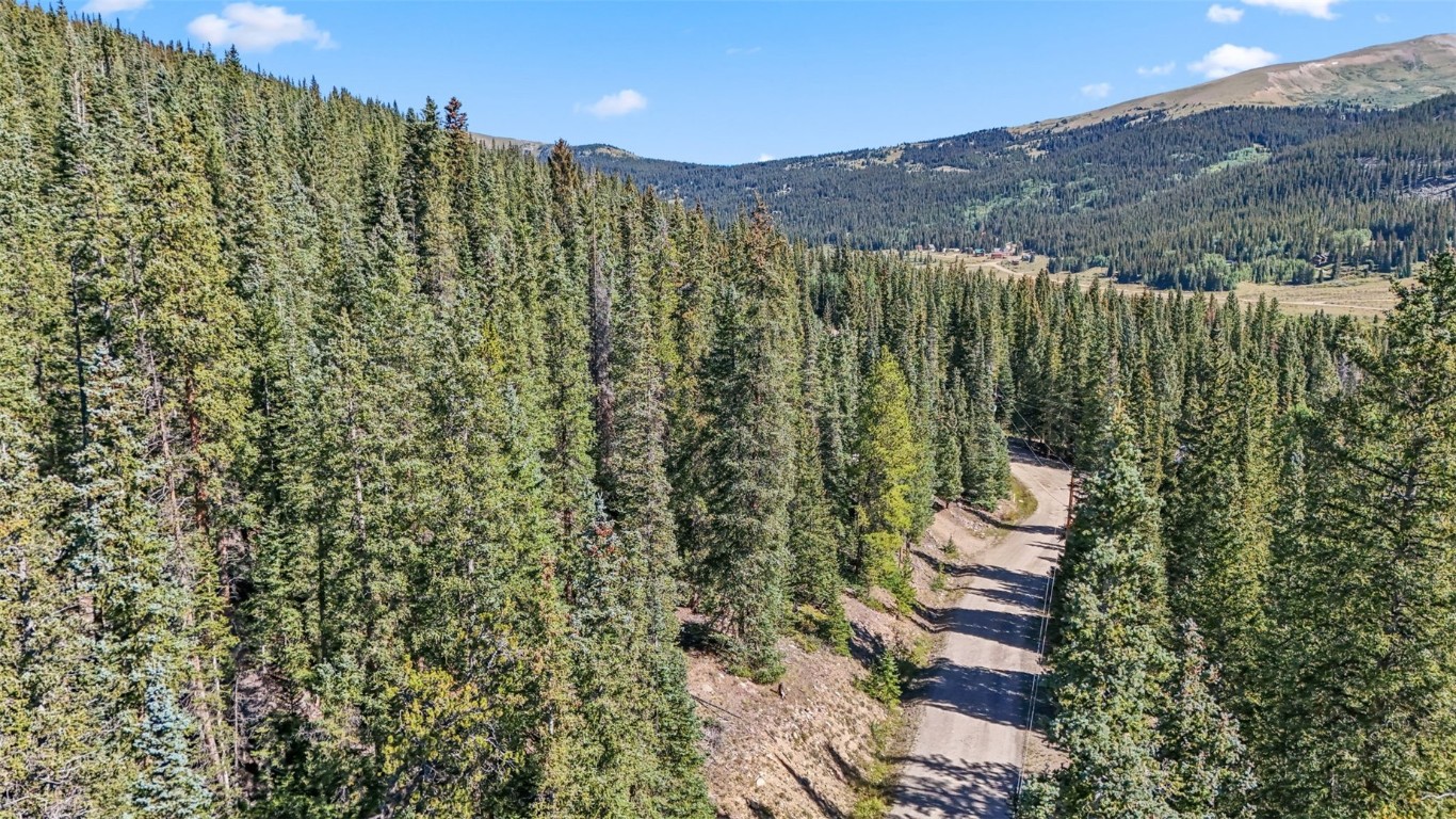 289 Ridge Road Alma, CO 80420 - Photo 9 of 25 Gallery Image 9