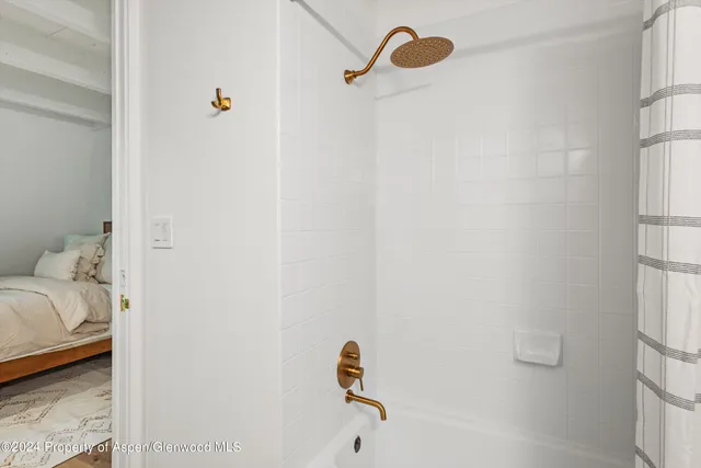 $40,000 | 501 West Bleeker Street, Aspen, CO 81611