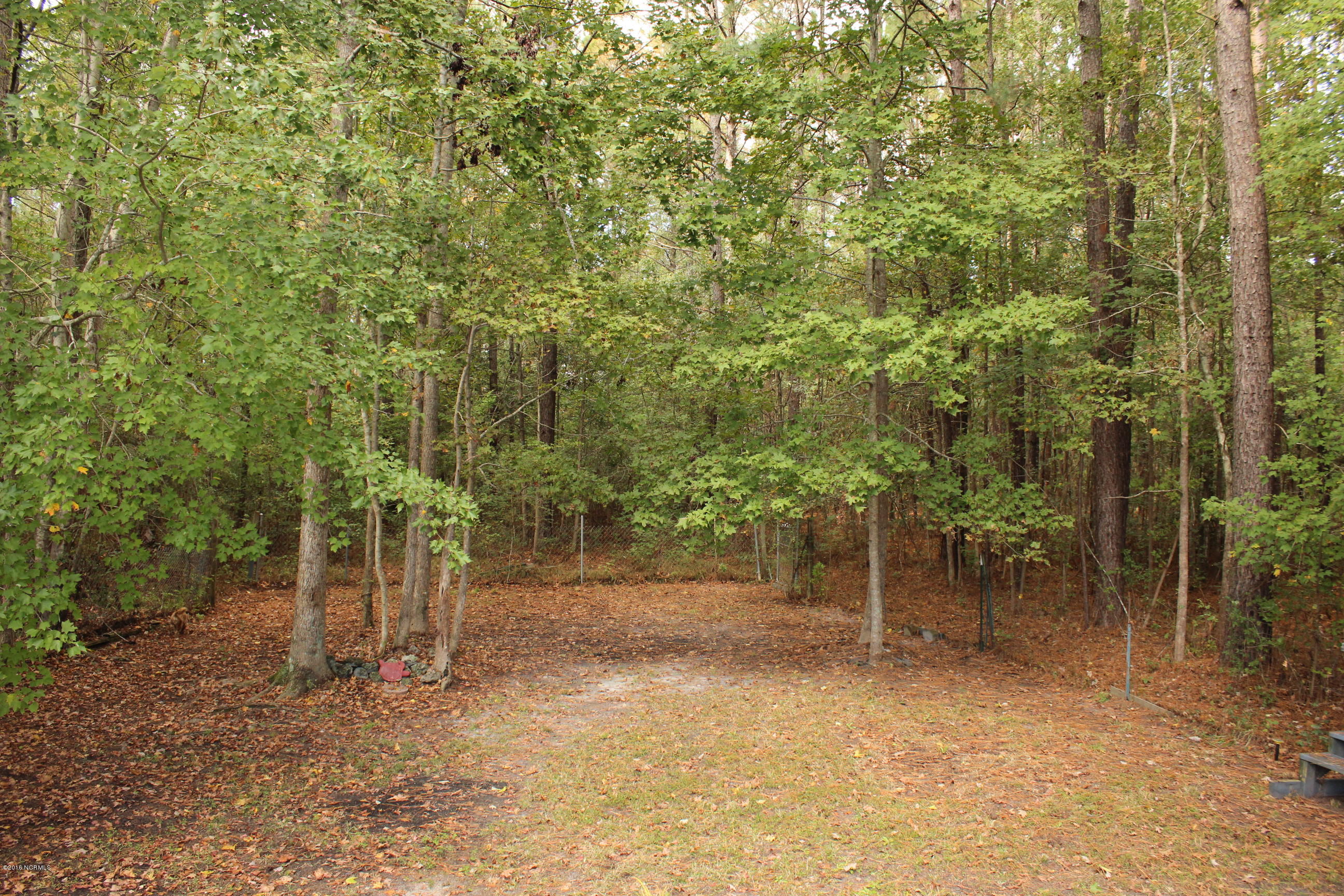 133 Anita Drive Hubert, NC 28539 - Photo 11 of 26 Backyard