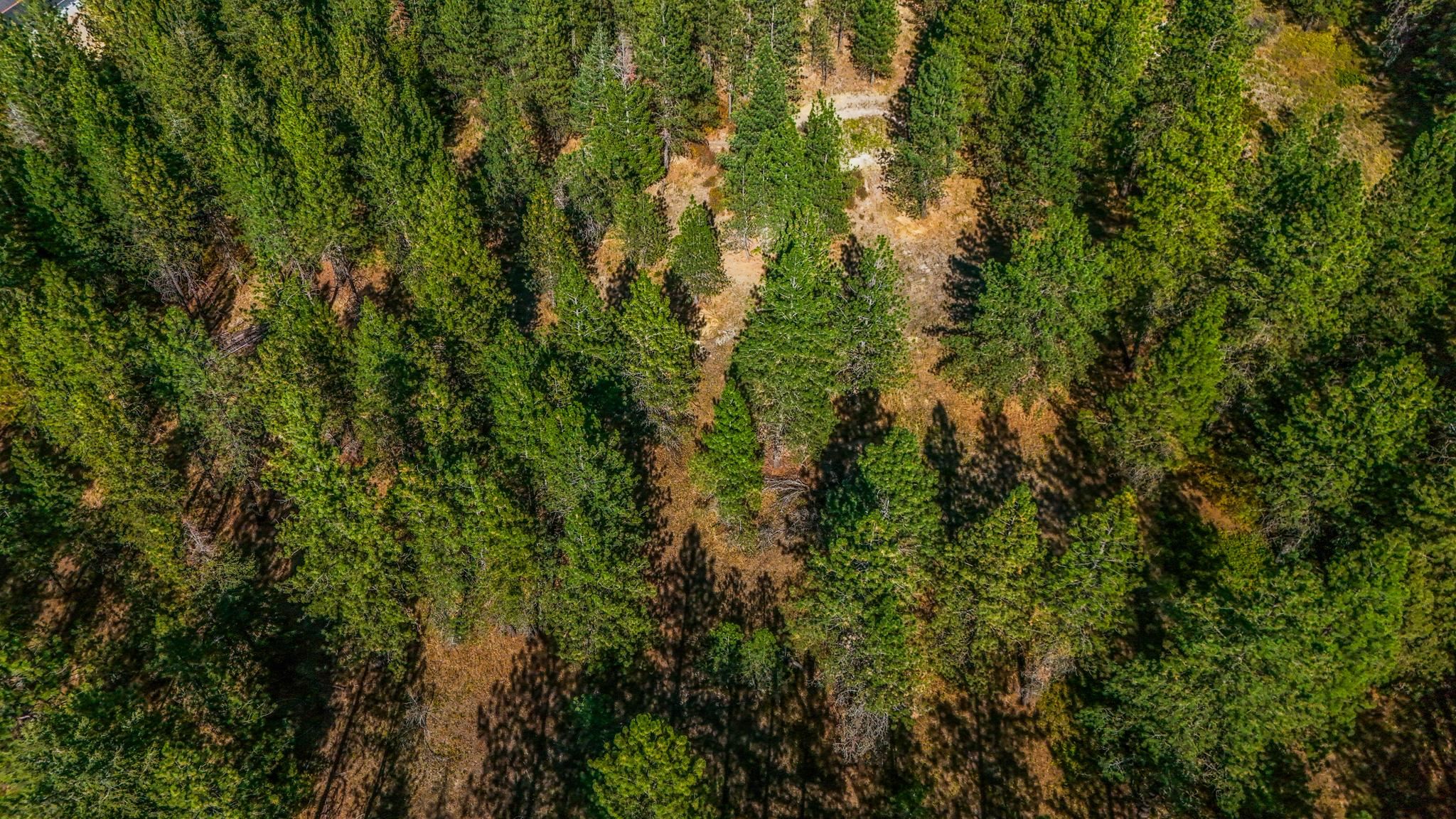 5522 East Bigelow Gulch Road Spokane, WA 99217 - Photo 22 of 26