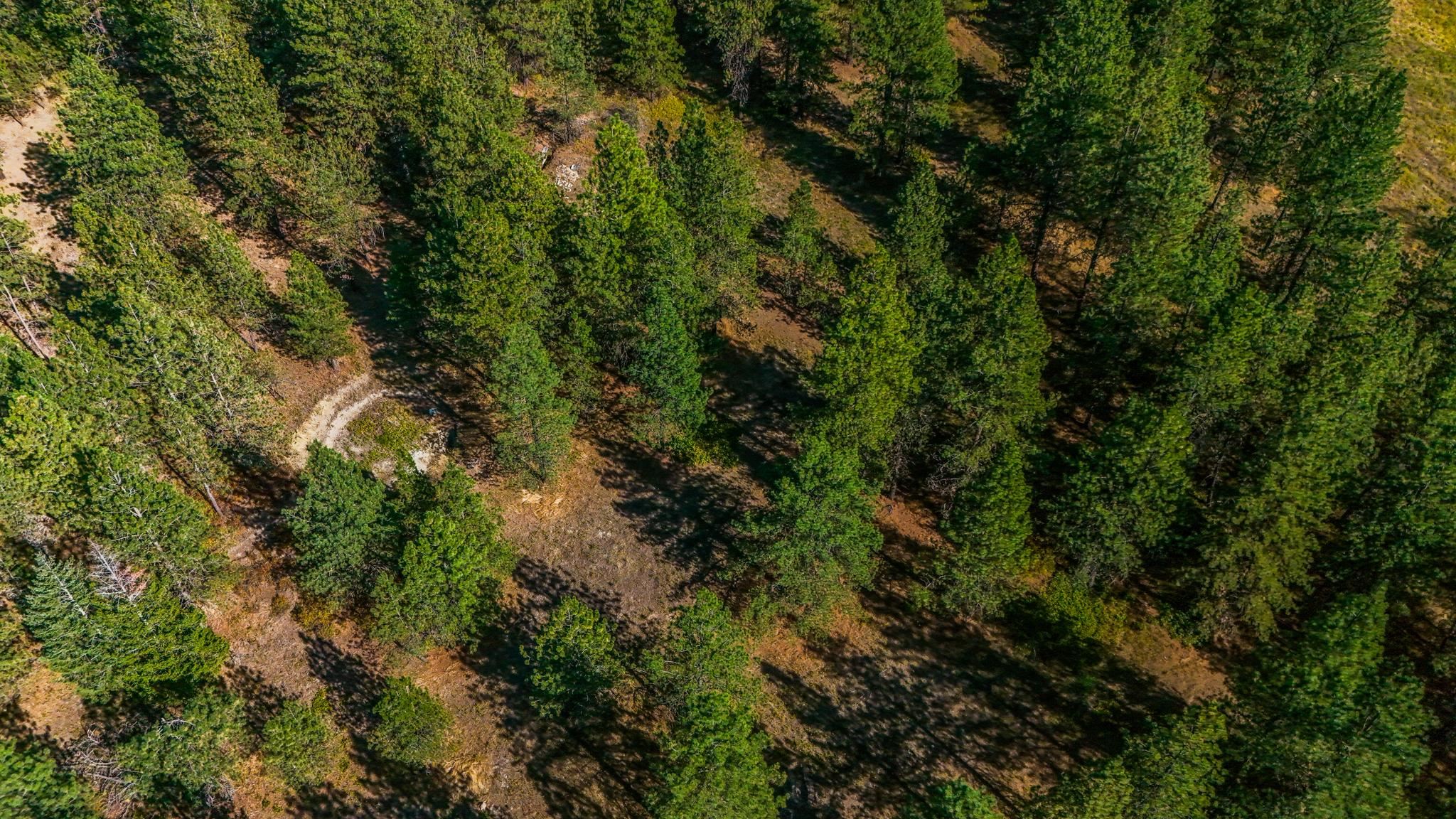 5522 East Bigelow Gulch Road Spokane, WA 99217 - Photo 23 of 26