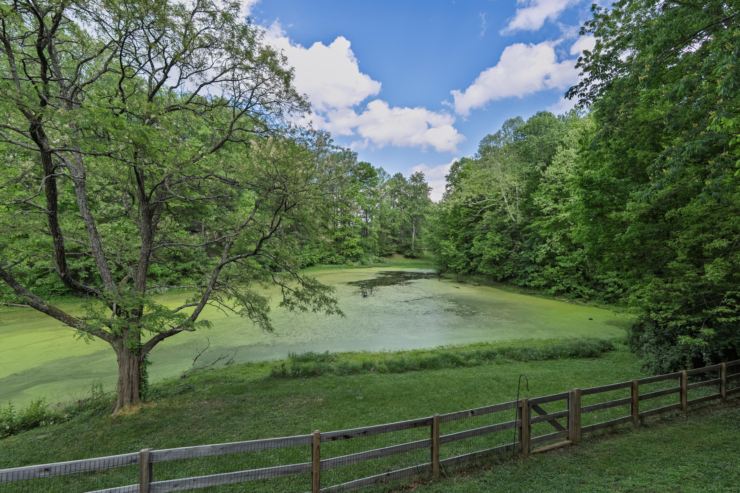 6 Scott Drive Butler, KY 41006 - Photo 22 of 25 Scott-10
