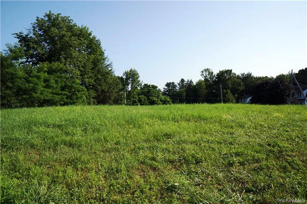 Lot 18 Horseshoe Lake Road Kauneonga Lake, NY 12749 - Photo 19 of 24 a view of a green field with trees in the background