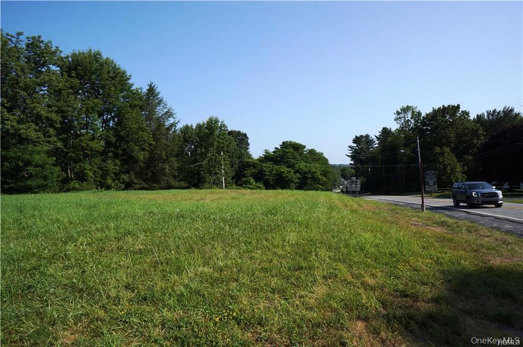 Lot 18 Horseshoe Lake Road Kauneonga Lake, NY 12749 - Photo 20 of 24 a view of a backyard