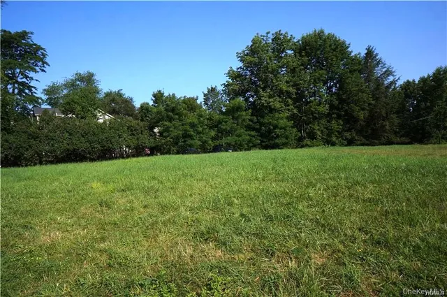 a view of a green field with trees in the background