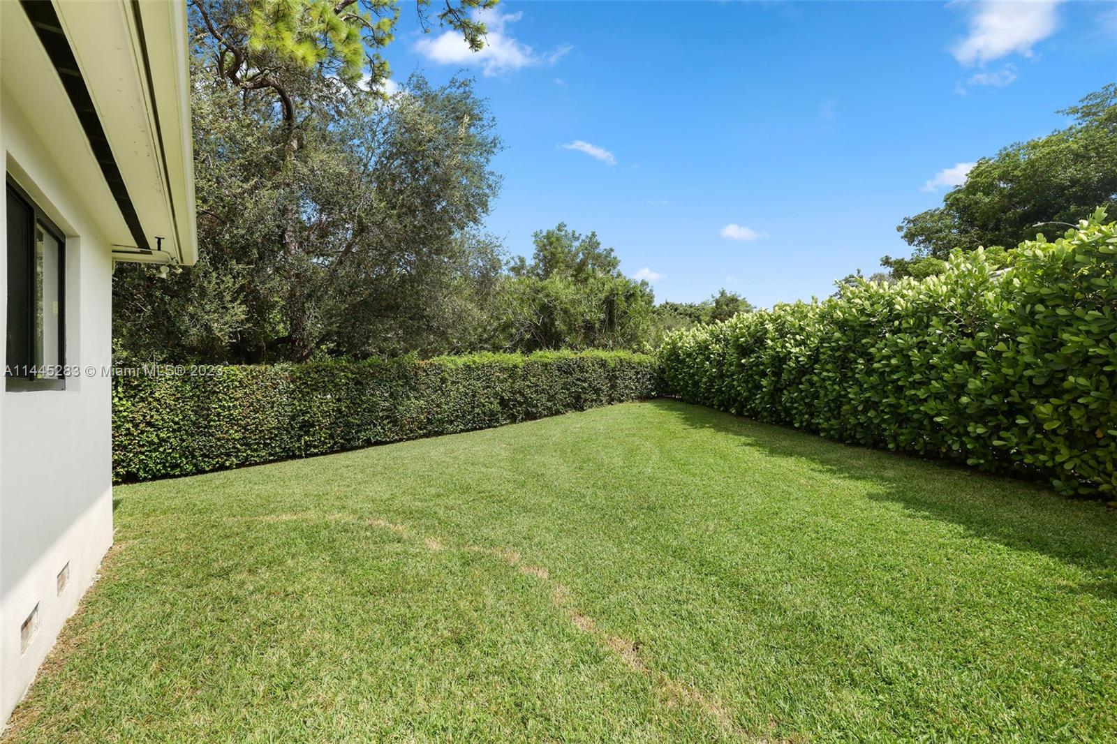 3411 Riviera Drive Coral Gables, FL 33134 - Photo 34 of 38 a view of a yard with a tree