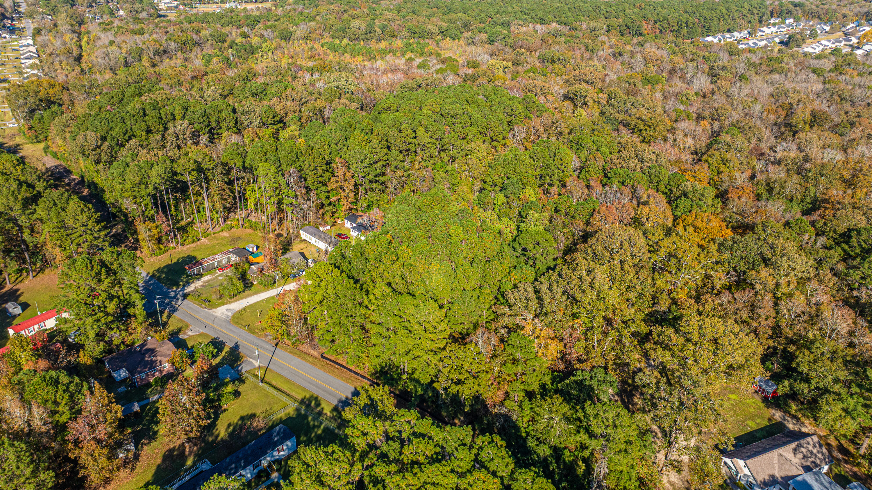 0 Lindy Creek Road Goose Creek, SC 29445 - Photo 23 of 43 00LindyCreekRdLotA043