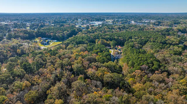 $149,998 | 0 Lindy Creek Road, Goose Creek, SC 29445