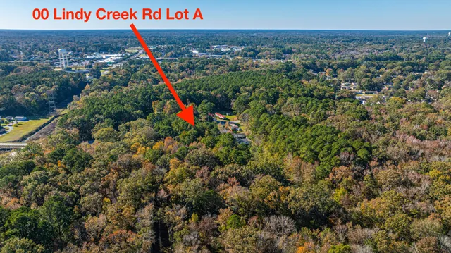 $149,998 | 0 Lindy Creek Road, Goose Creek, SC 29445