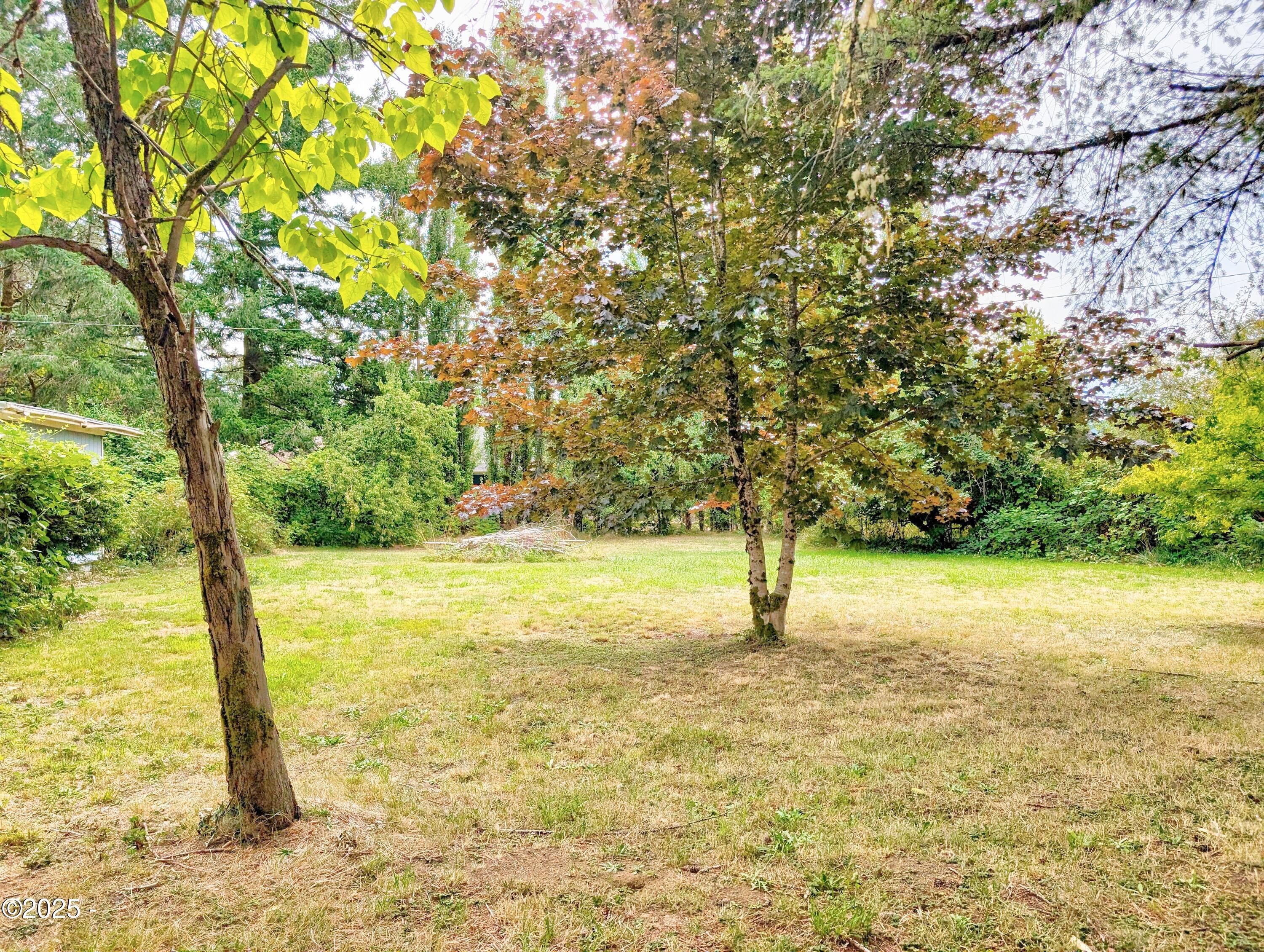 1601 Moonshine Park Road Logsden, OR 97357 - Photo 17 of 18 Back Yard