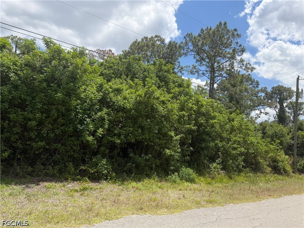 110 Columbus Avenue Lehigh Acres, FL 33936 - Photo 4 of 5