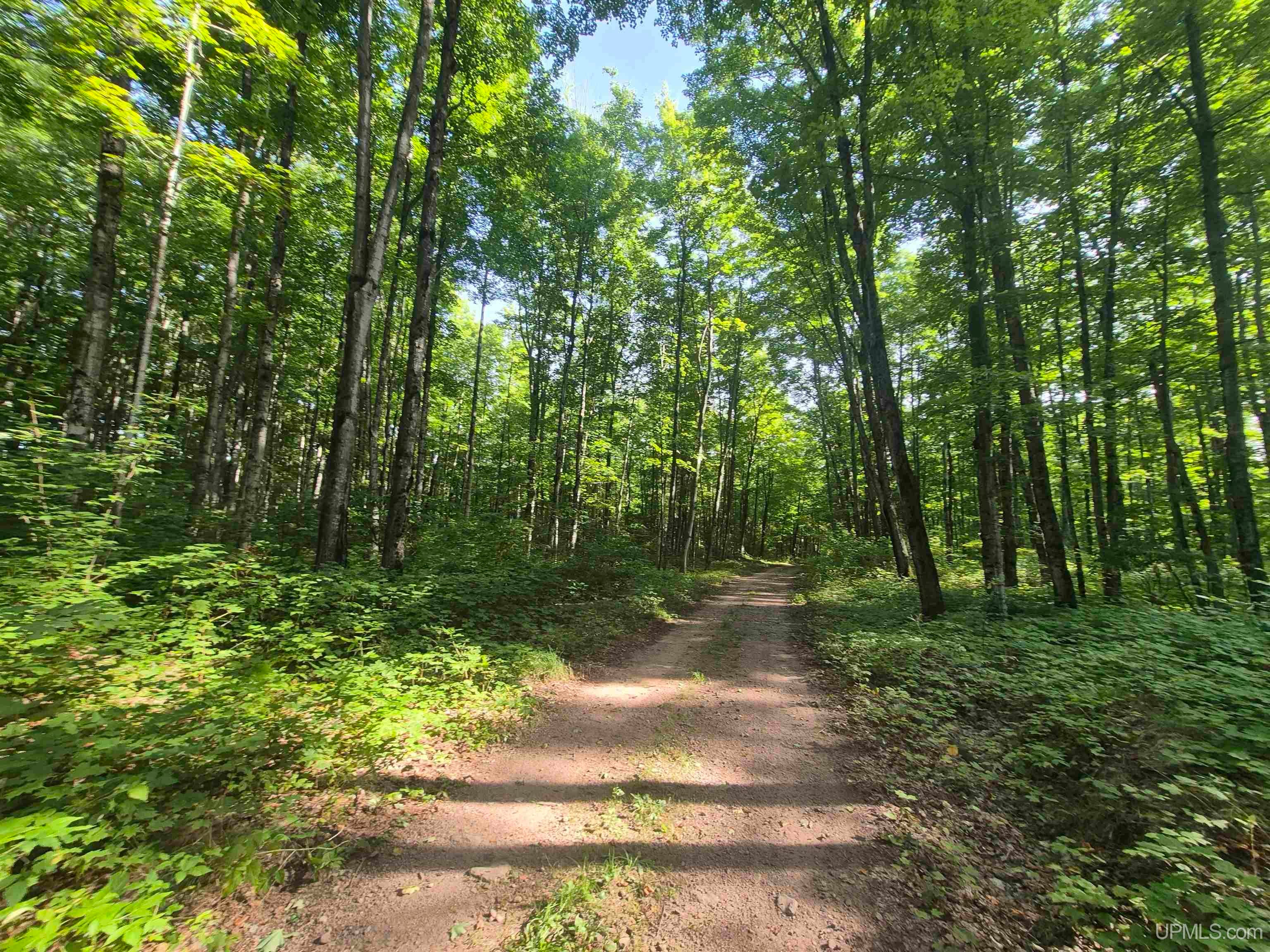 N8336 Sigan Road Deerton, MI 49822 - Photo 28 of 61 Gallery Image 28