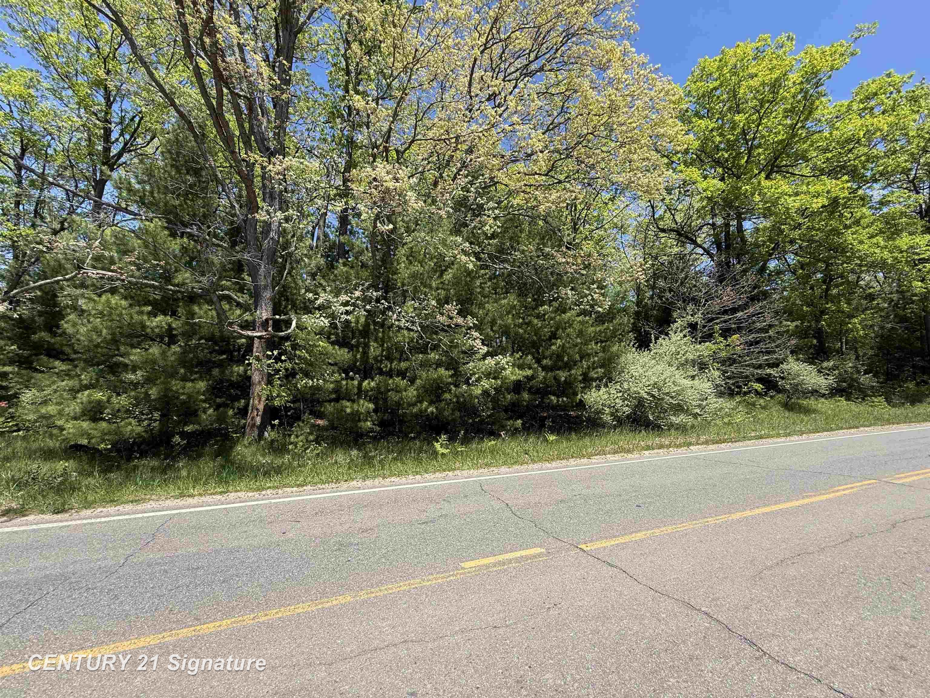 981 East Cranberry Lake Road Harrison, MI 48625 - Photo 3 of 10