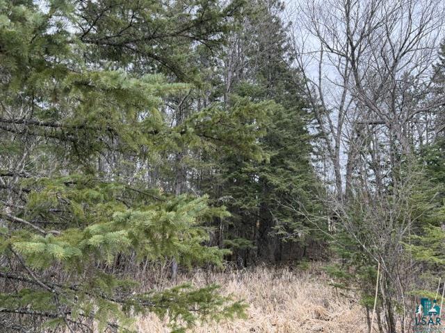 Tbd 5th Street Southeast Cook, MN 55723 - Photo 4 of 13