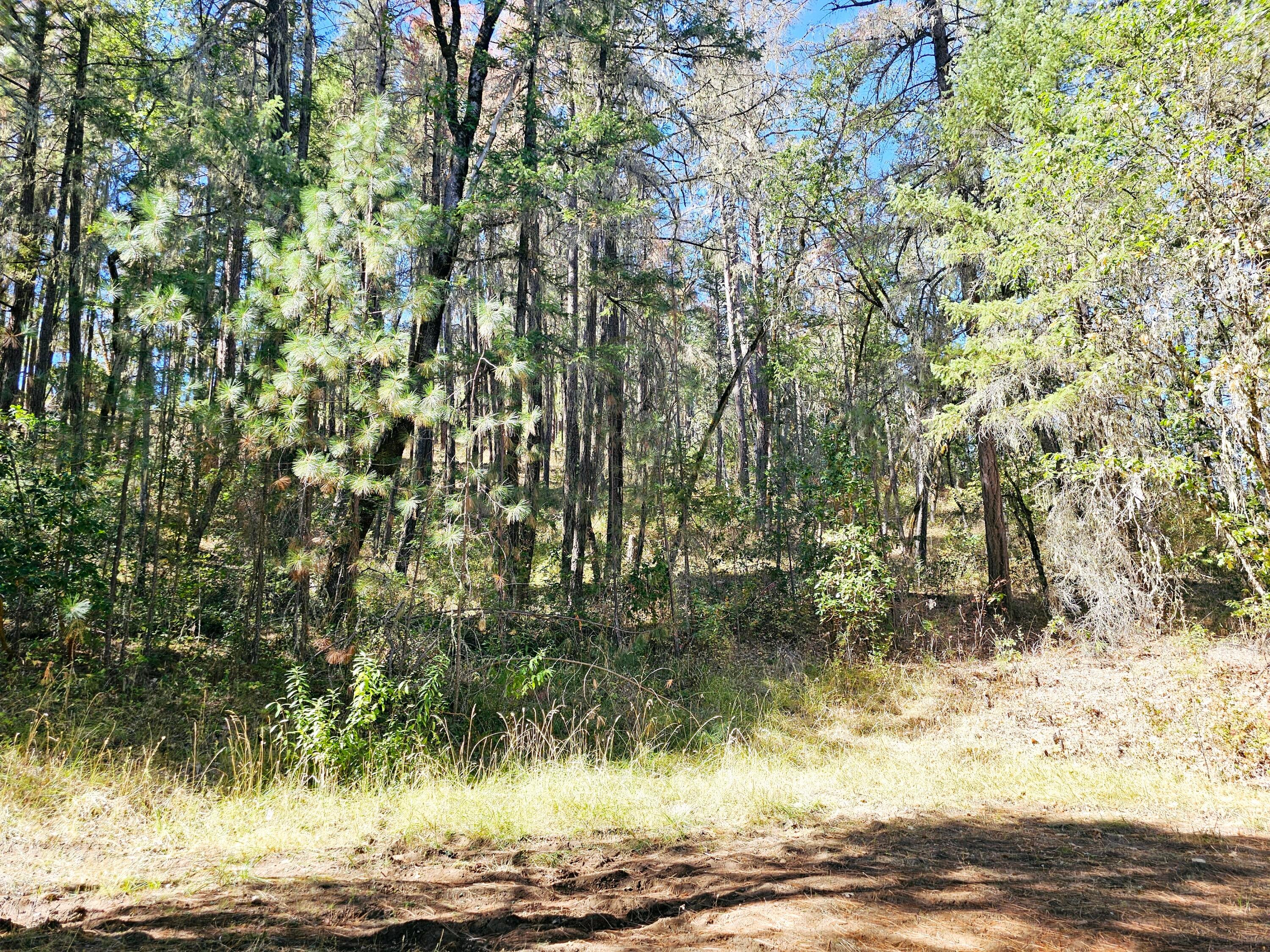 6531 Crowfoot Road Trail, OR 97541 - Photo 15 of 20 20240918_112549