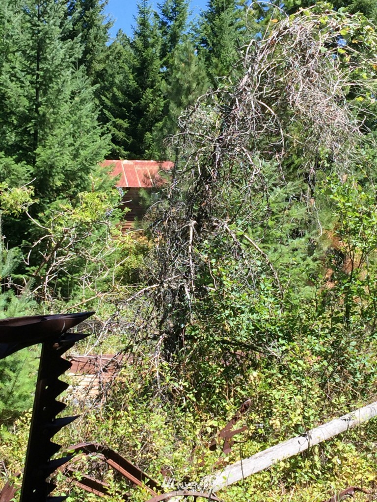 0 Nelson Siding Road Cle Elum, WA 98922 - Photo 12 of 18
