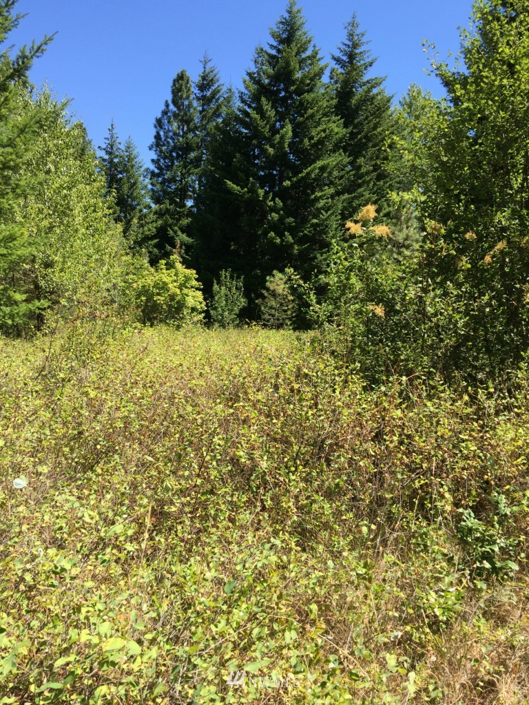 0 Nelson Siding Road Cle Elum, WA 98922 - Photo 16 of 18