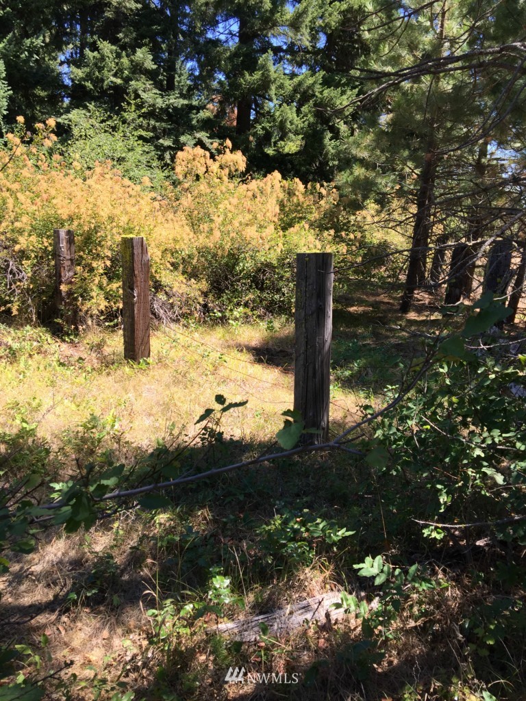 0 Nelson Siding Road Cle Elum, WA 98922 - Photo 17 of 18