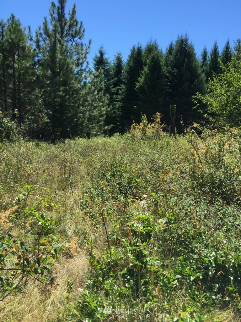 0 Nelson Siding Road Cle Elum, WA 98922 - Photo 18 of 18