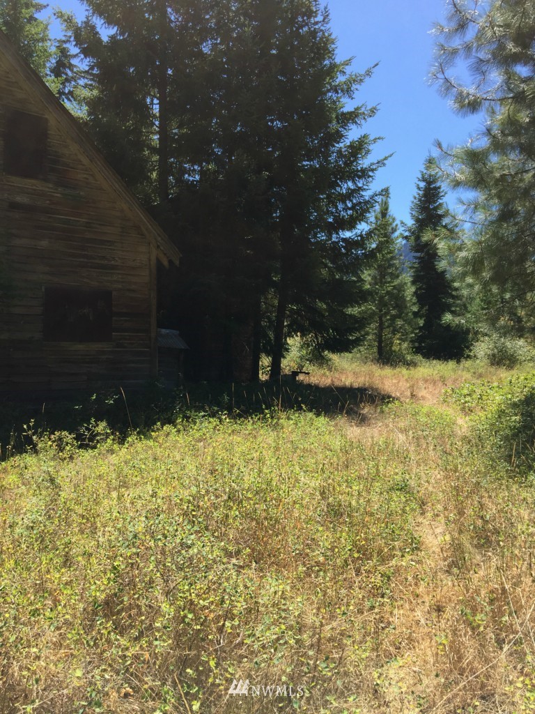 0 Nelson Siding Road Cle Elum, WA 98922 - Photo 5 of 18