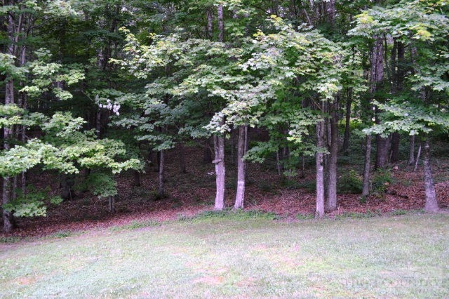 277 Pioneer Ridge Sparta, NC 28675 - Photo 25 of 36 a backyard of a house with lots of green space