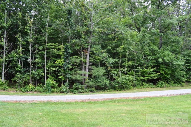 277 Pioneer Ridge Sparta, NC 28675 - Photo 30 of 36 a view of a yard with a plants and large trees