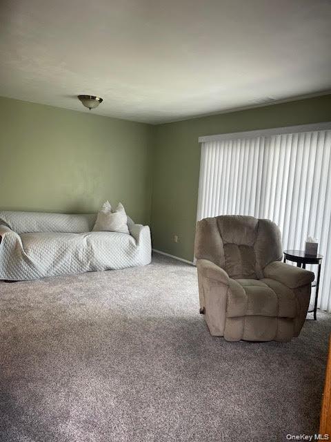 650 Newbridge Road, Unit 33 East Meadow, NY 11554 - Photo 4 of 12