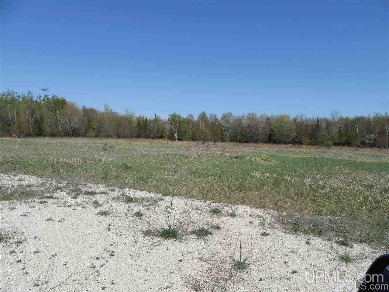 Tbd Kendall Road Manistique, MI 49854 - Photo 9 of 9