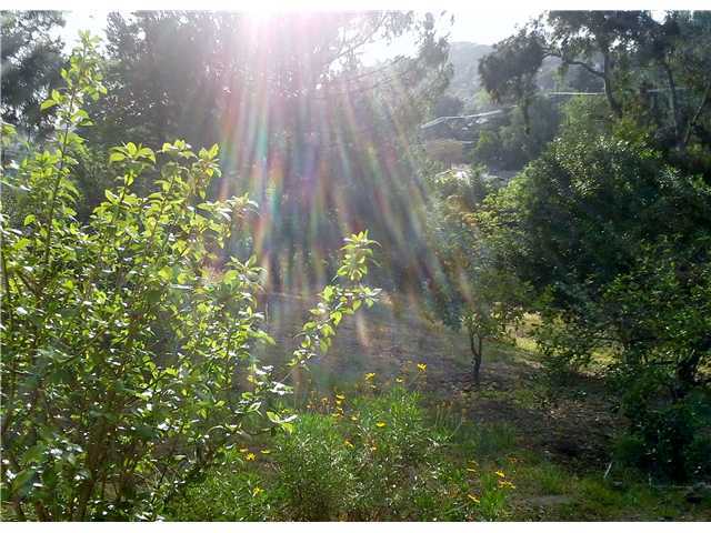 10933 Explorer Road La Mesa, CA 91941 - Photo 19 of 19 Gallery Image 19