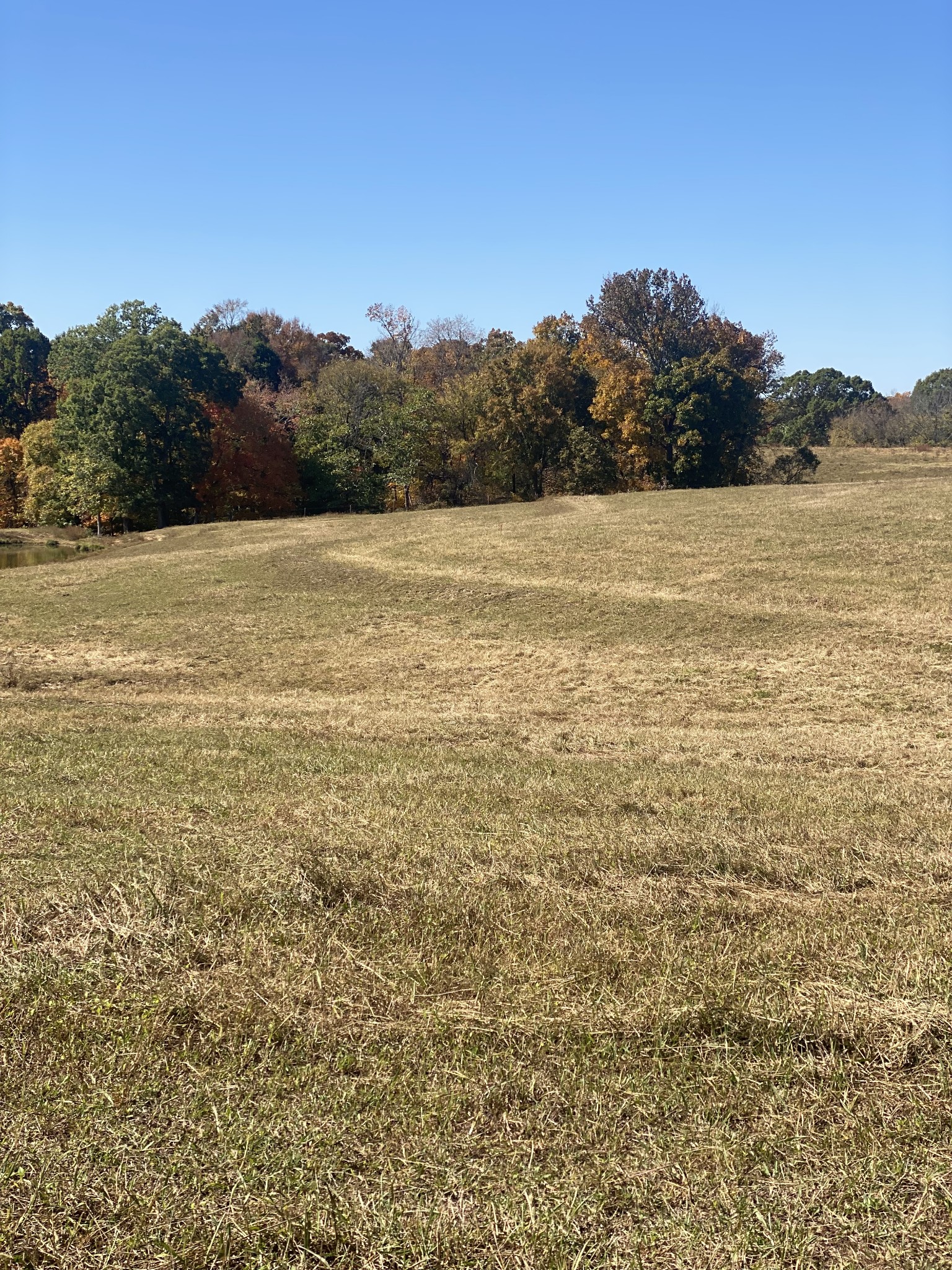 5 Hickory Point Road Clarksville, TN 37043 - Photo 1 of 13 a view of a lake view