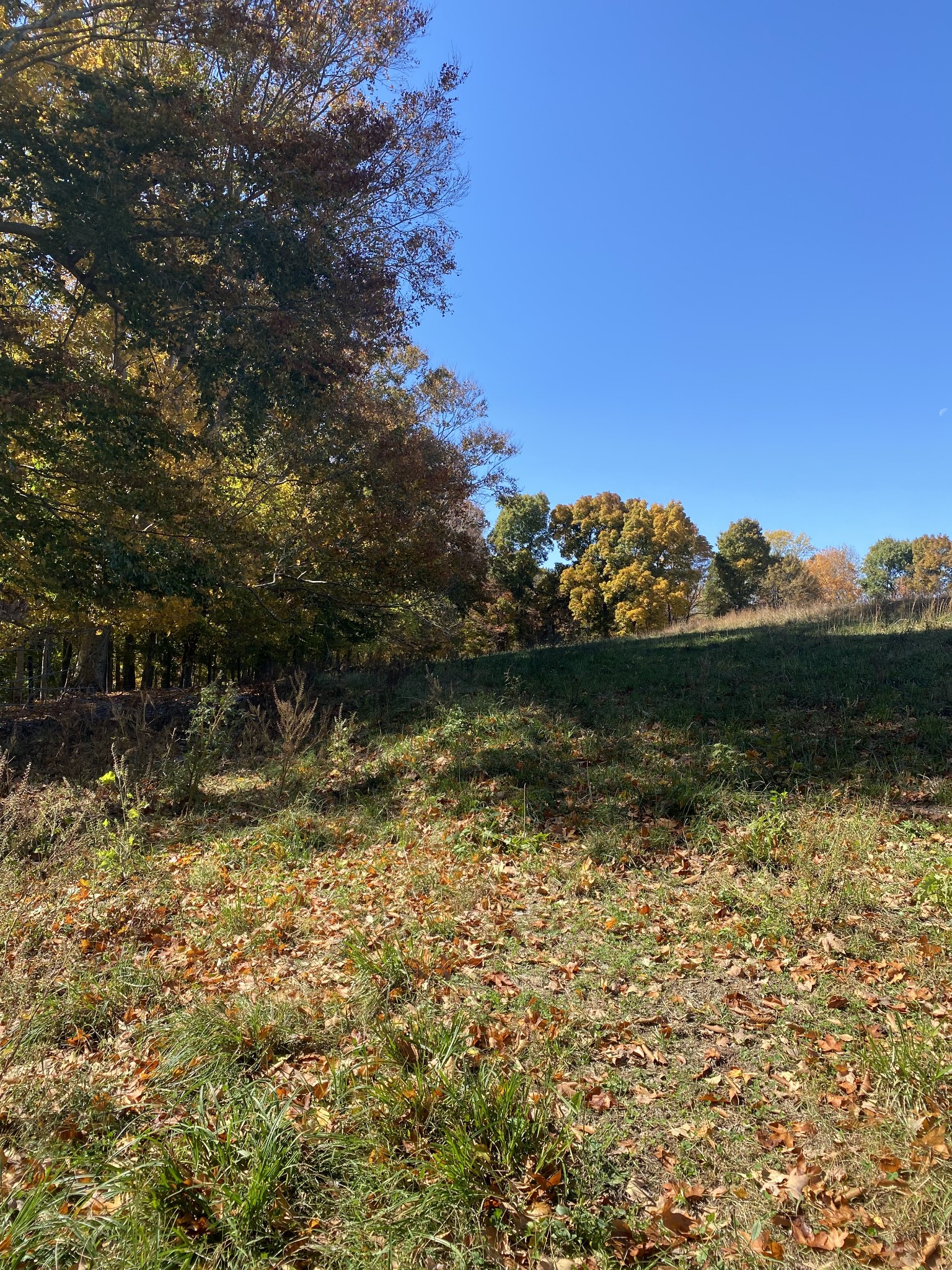 5 Hickory Point Road Clarksville, TN 37043 - Photo 11 of 13 a view of lake view and mountain view