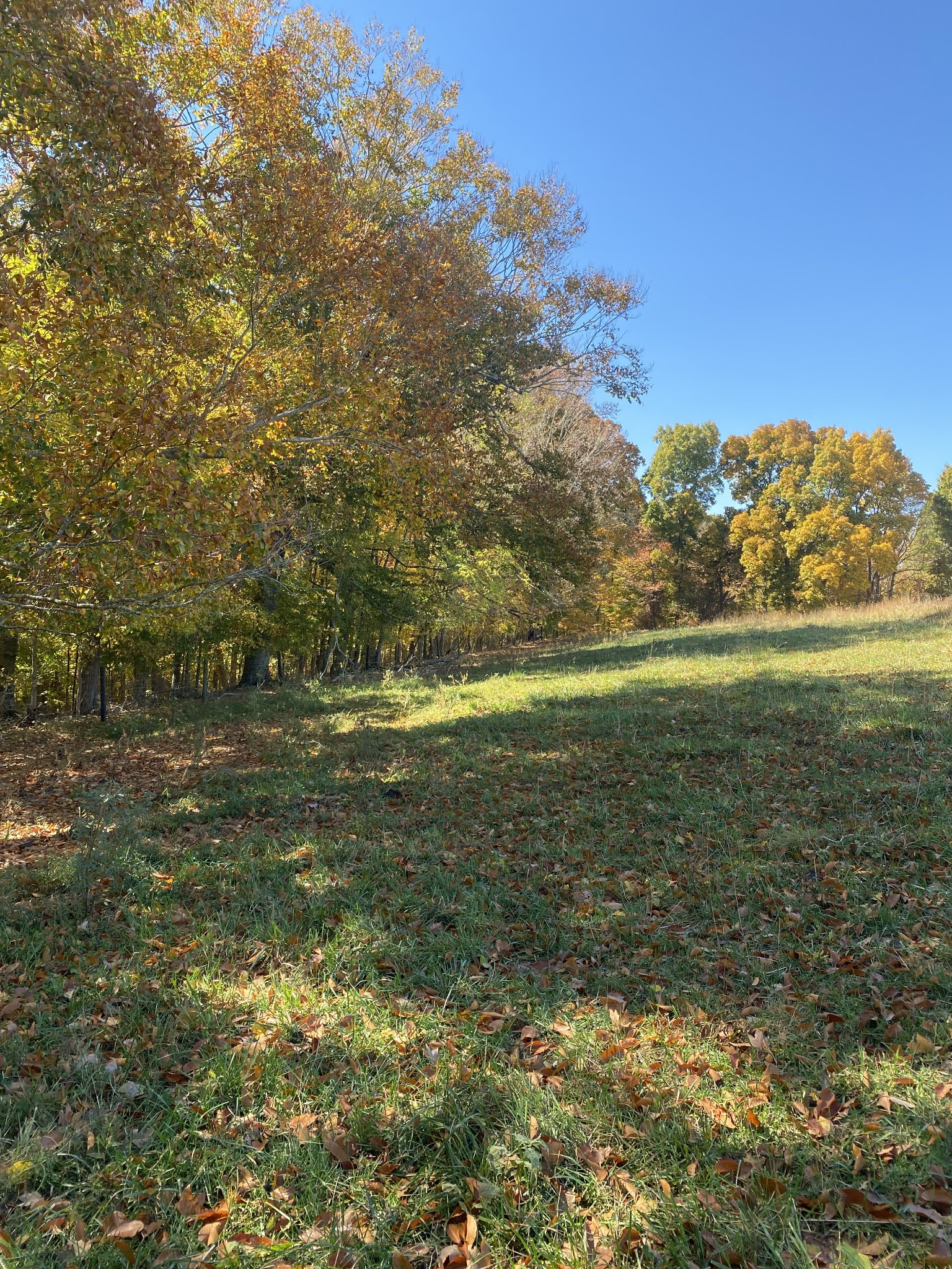 5 Hickory Point Road Clarksville, TN 37043 - Photo 12 of 13 a view of an ocean
