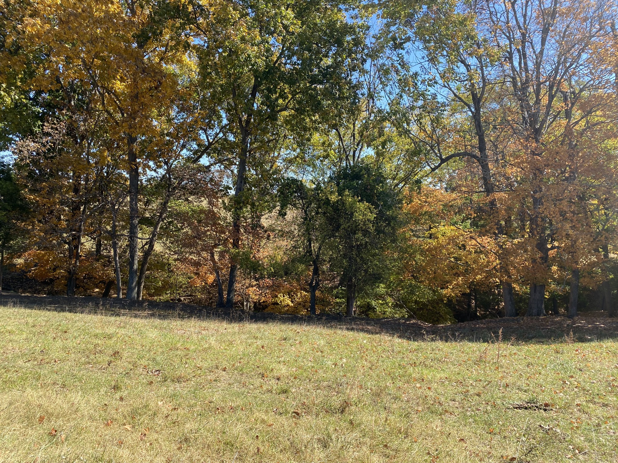 5 Hickory Point Road Clarksville, TN 37043 - Photo 10 of 13 a view of outdoor space