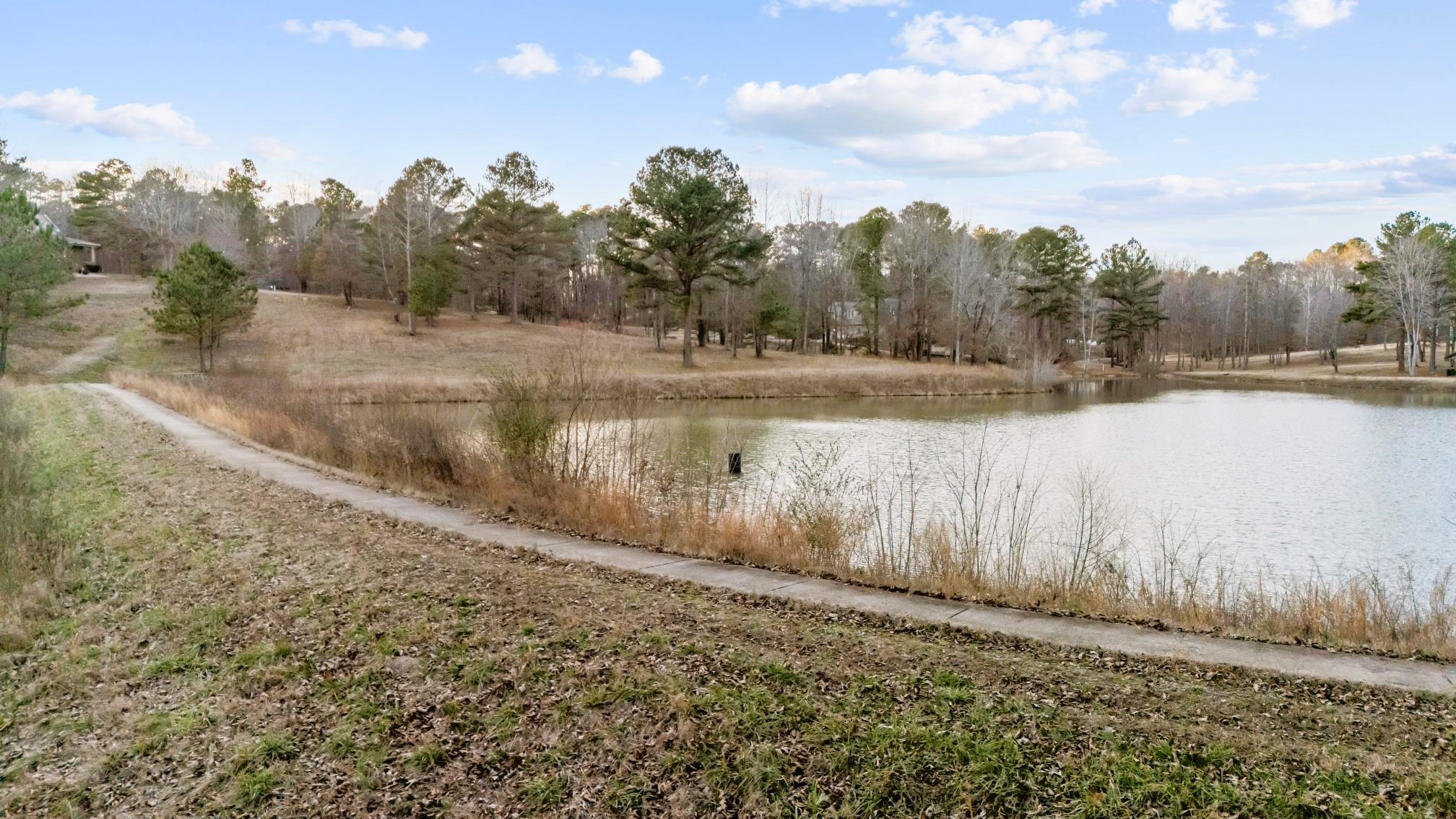 1816 McKelvy Road Camden, TN 38320 - Photo 75 of 100 a view of a lake with trees in the background