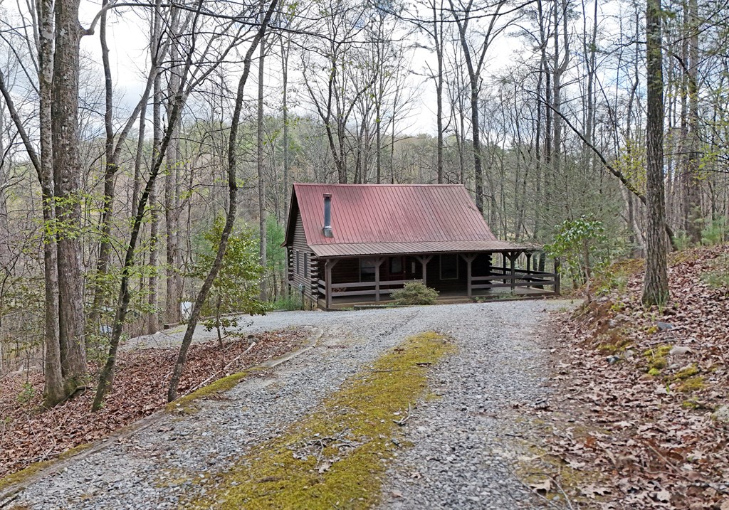 545 Laurel Circle Blue Ridge, GA 30513 - Photo 7 of 54 Gallery Image 7