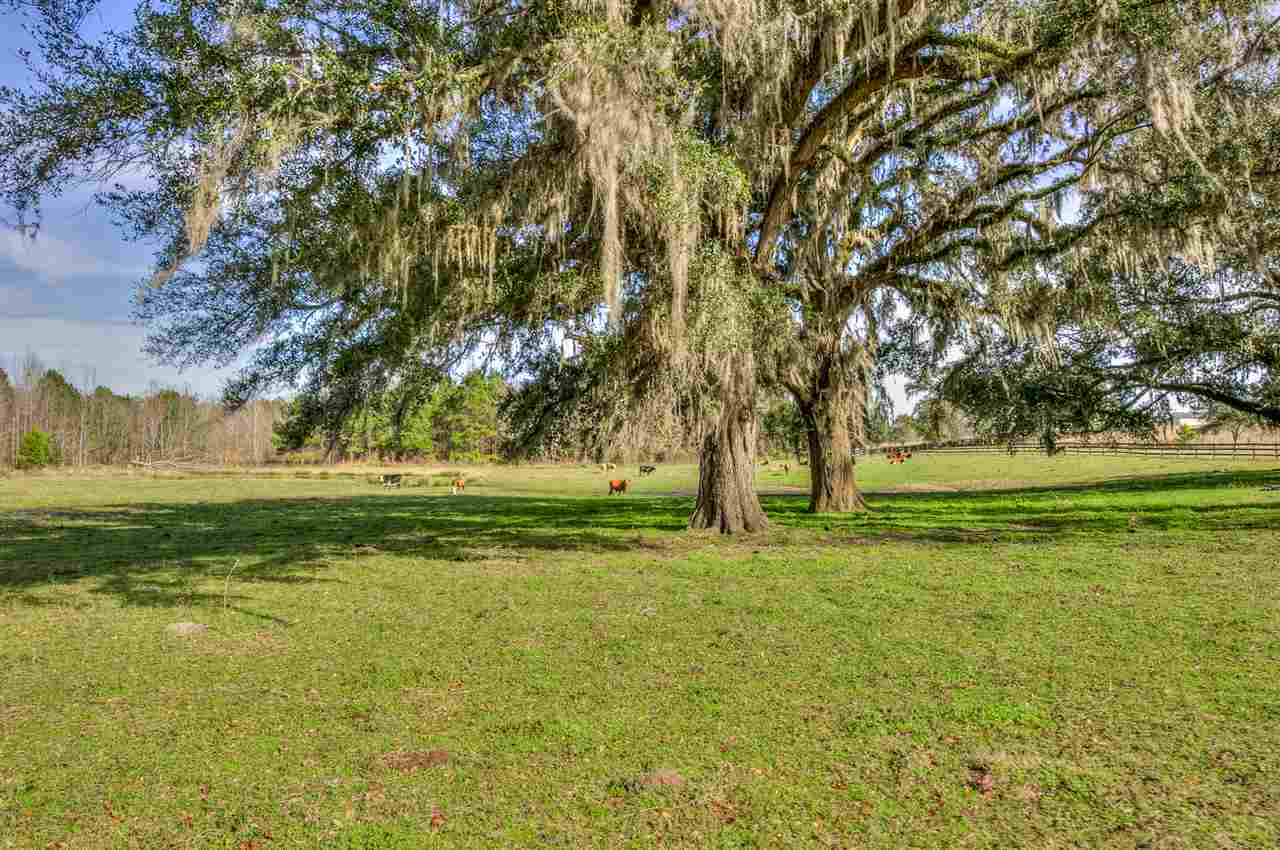 Egret Marsh Road Monticello, FL 32344 - Photo 1 of 1 Gallery Image 1