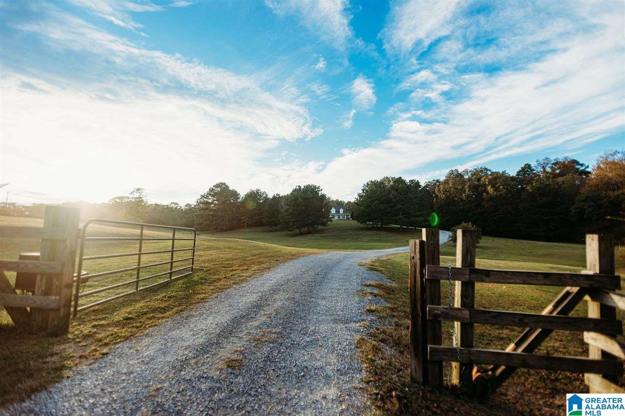 3850 Bud Umphrey Road Altoona, AL 35952 - Photo 5 of 40
