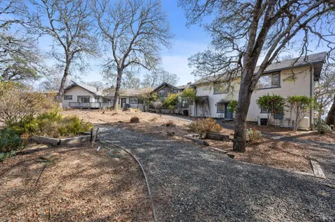 a view of a yard with a tree