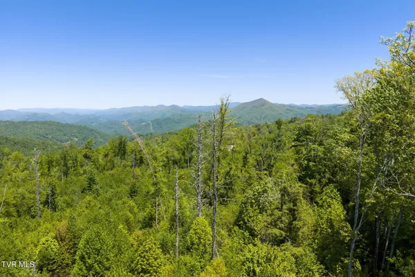 $150,000 | Tbd Walnut Mountain Road, Unit TBD, Butler, TN 37640